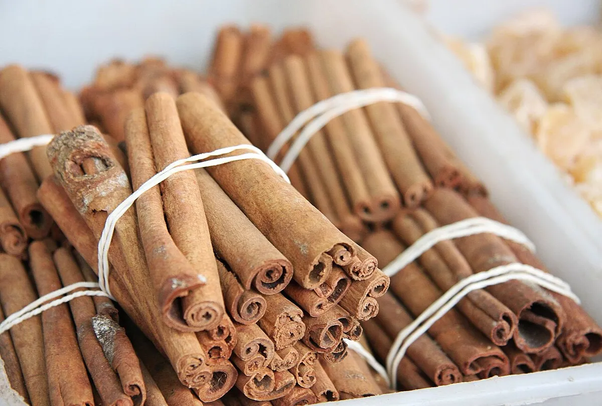 Bâtons de cannelle en fagots