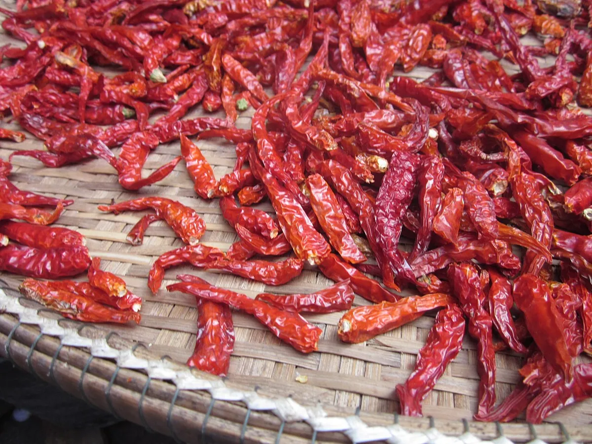 Piments rouges séchés
