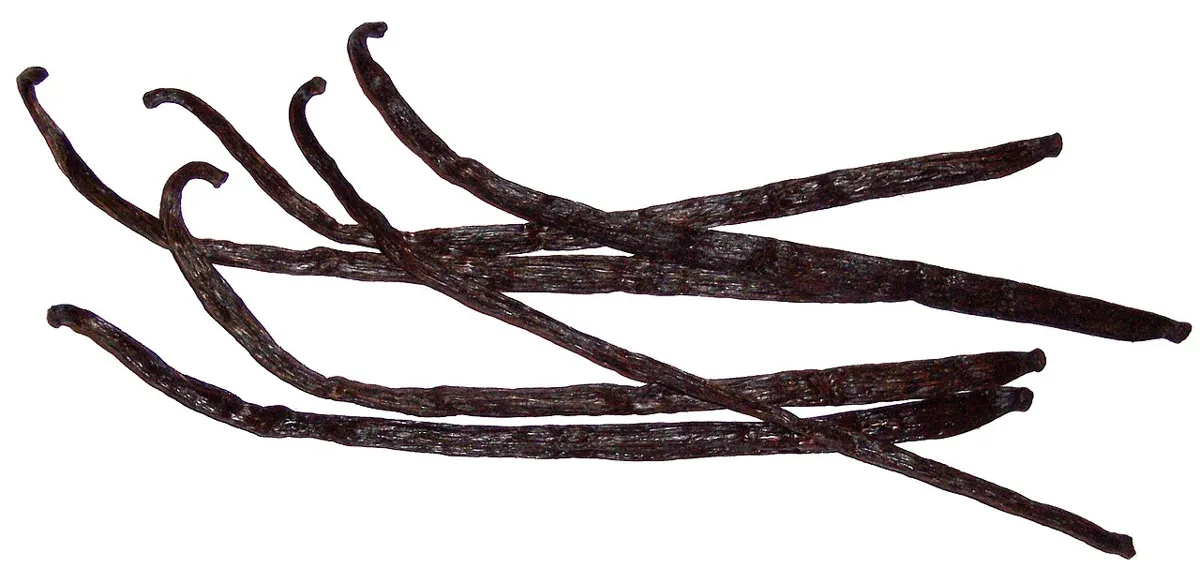 Gousses de vanille noires et souples