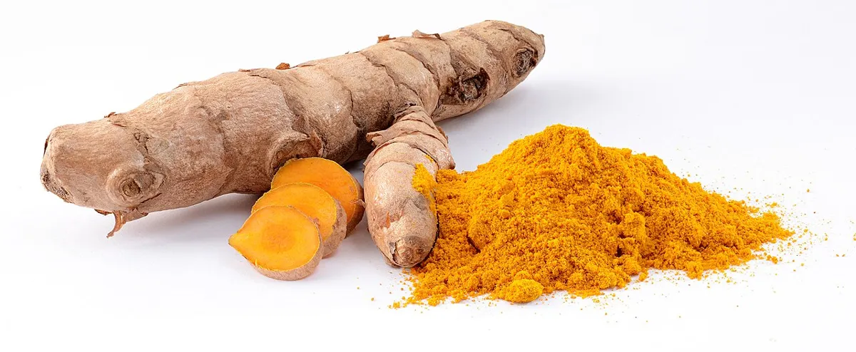 Racine de curcuma et curcuma en poudre