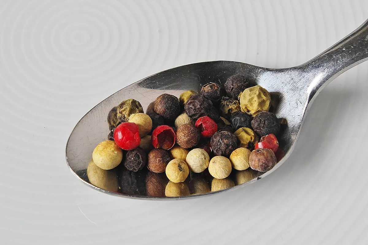 Cuillère de poivres multicolores